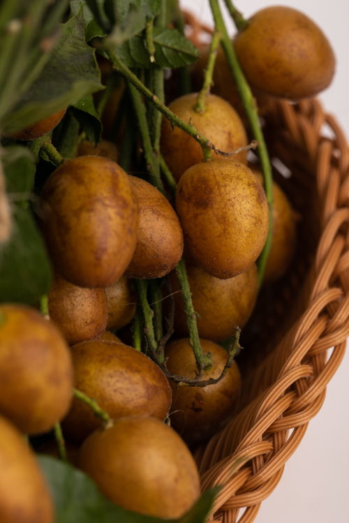 果篮黄皮果特产夏季水果美食摄影图 摄影